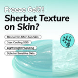 [NEW] ICY GLACIER SHERBET GEL